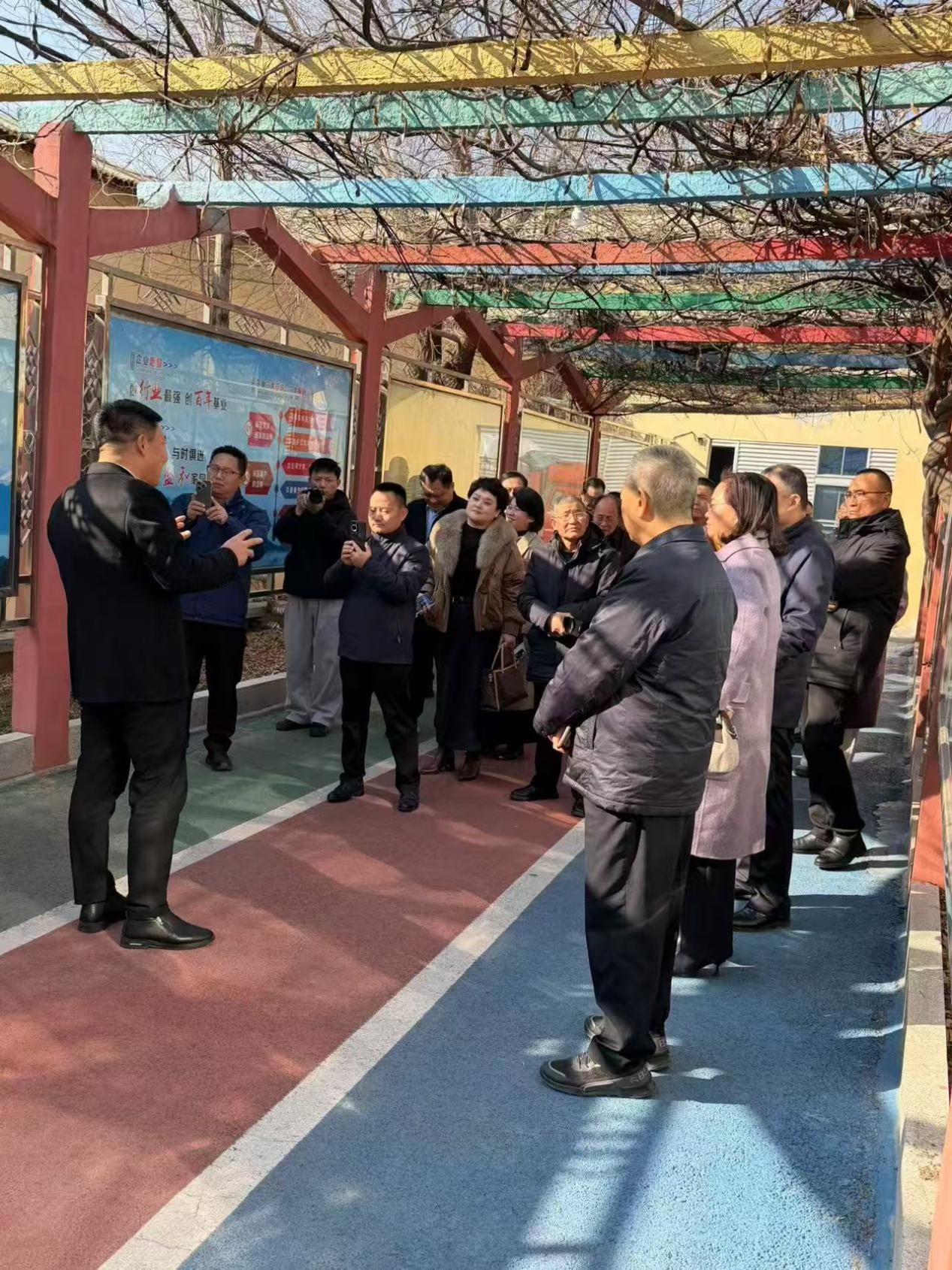 图片2.jpg 图片2.jpg